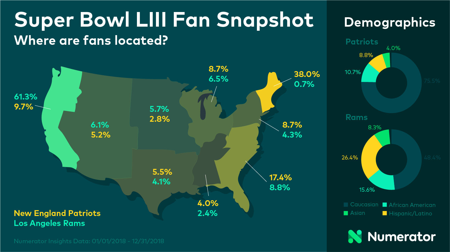 Super Bowl Fan Snapshot