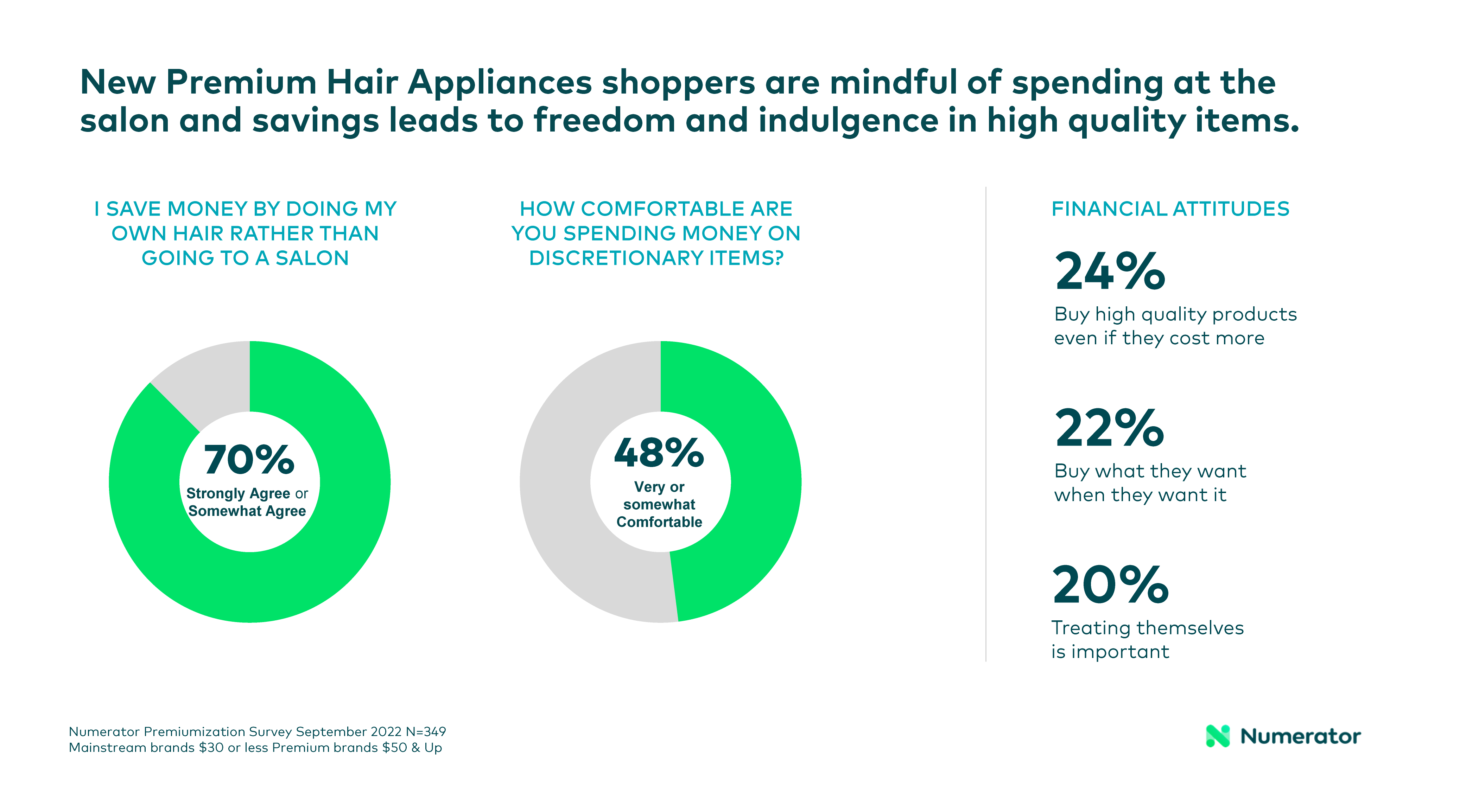 Premium Hair Appliances Financial Attitudes